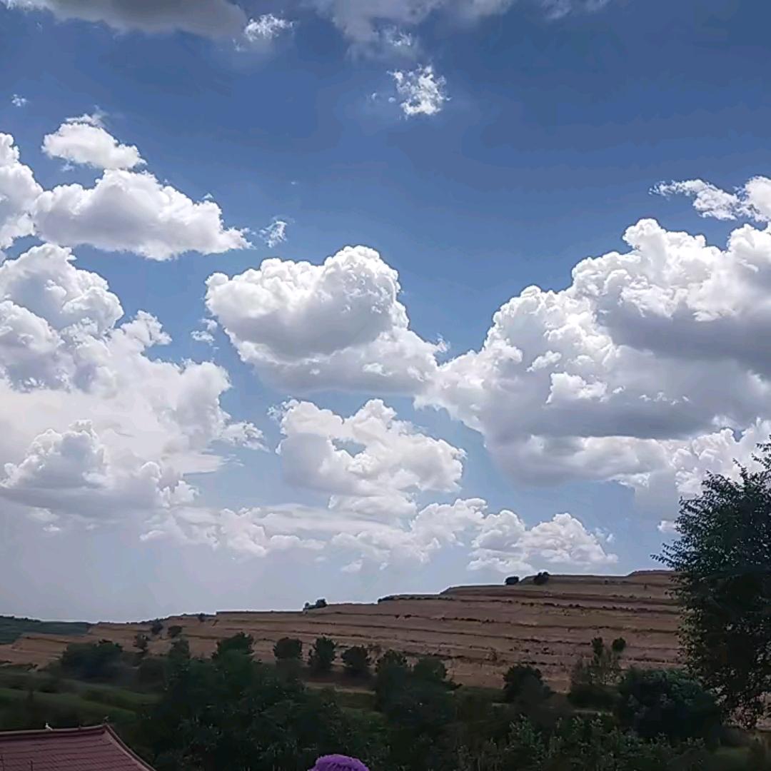 人生百味(๑˙❥˙๑)