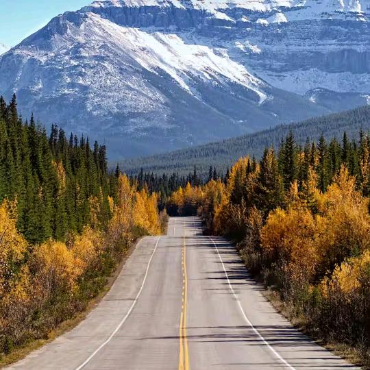 @ζั͡ޓއؓ渡劫ཱིއއ: