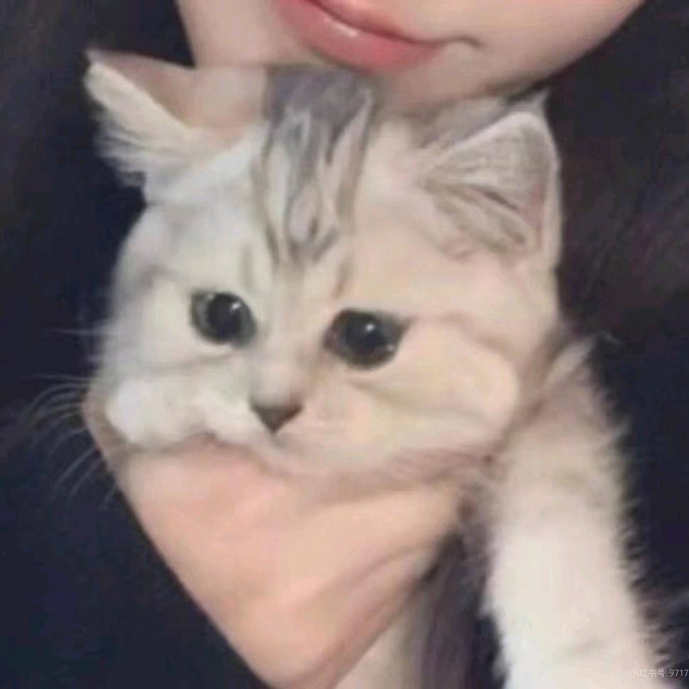 （老婆）爱你Fyf
