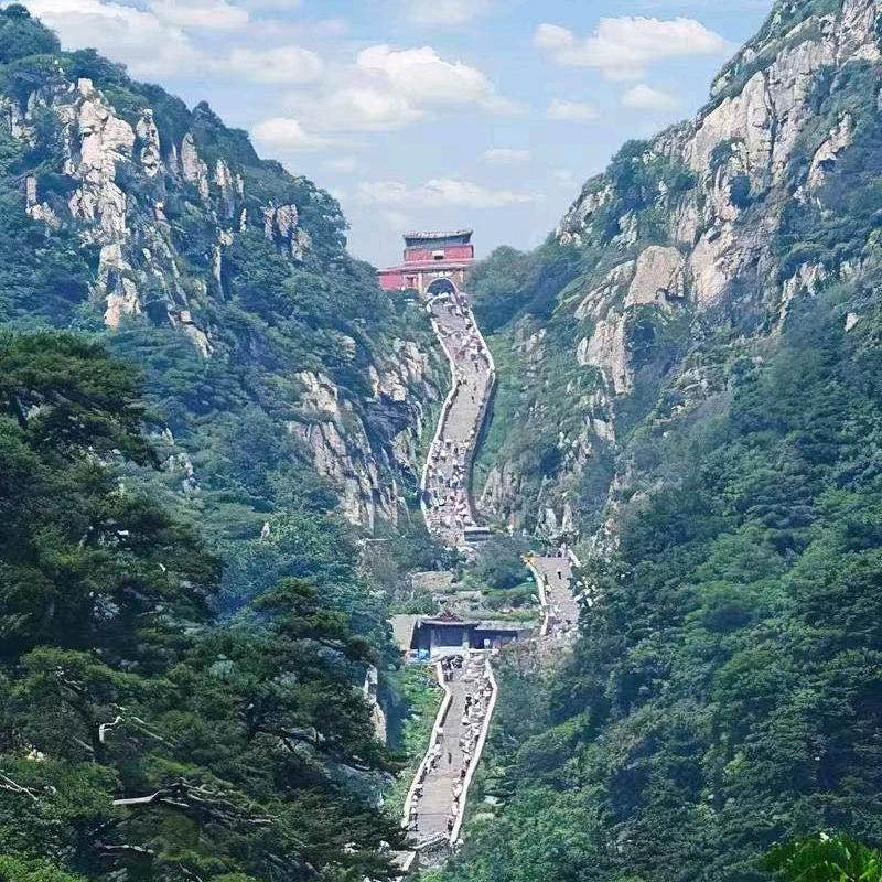 观靖自在