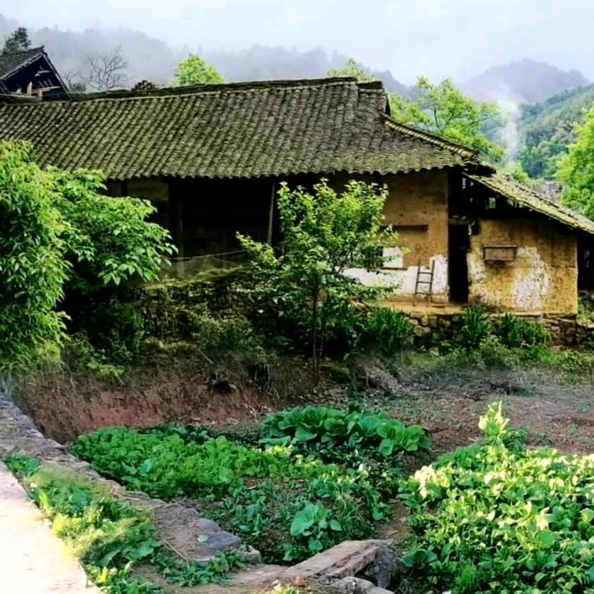 山歌小妹