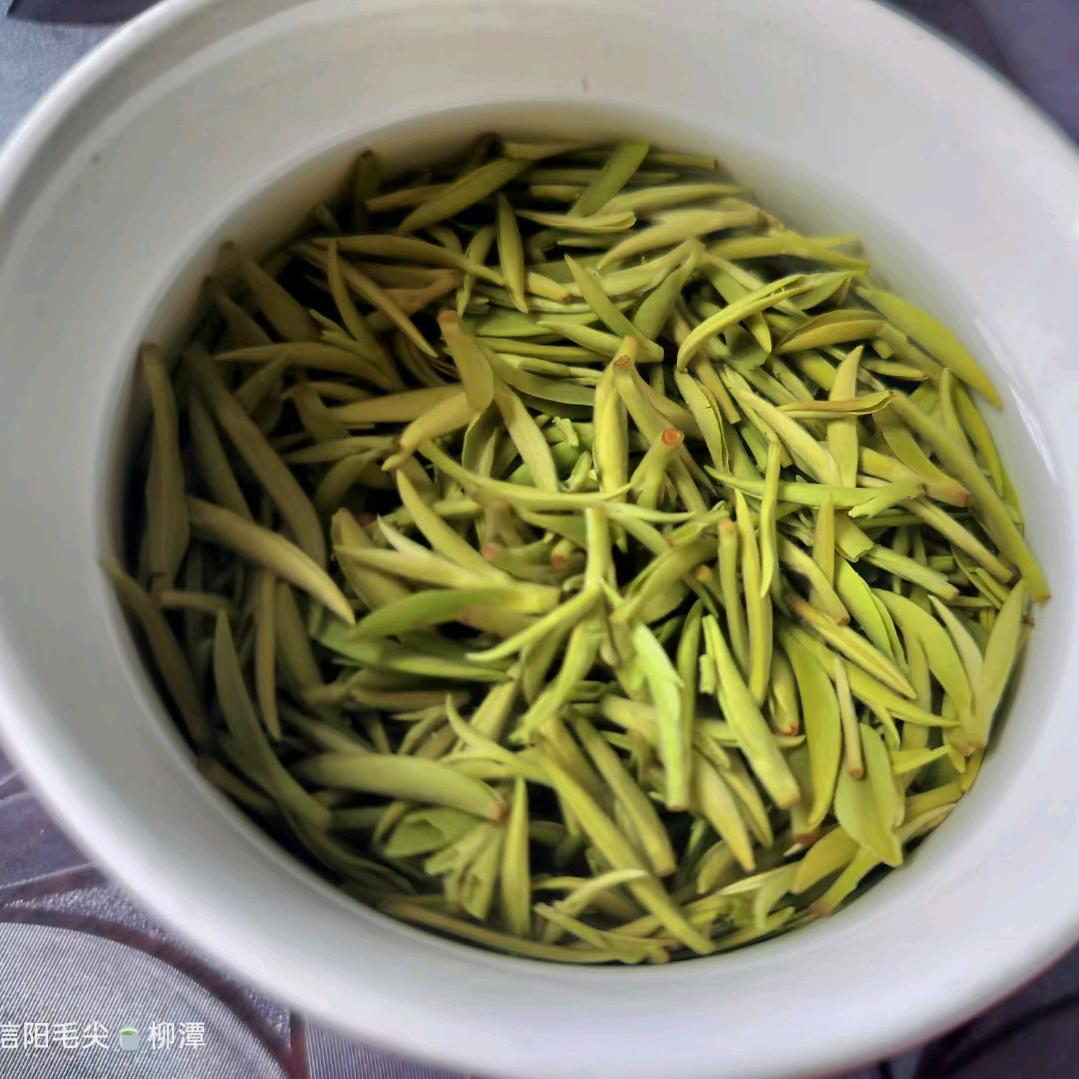 友哥（茶仆）