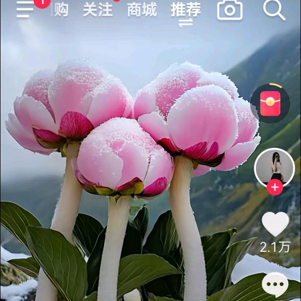 幸福快乐