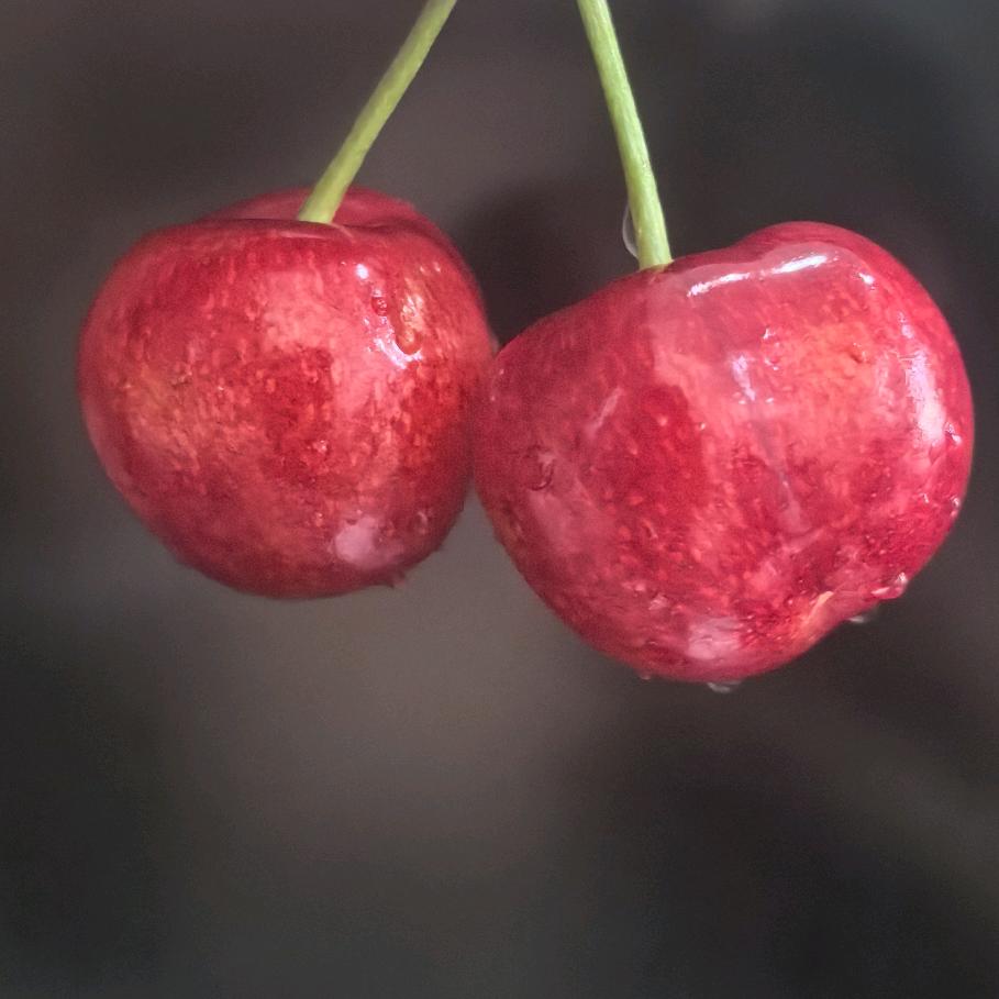 ල᭄释怀🌹
