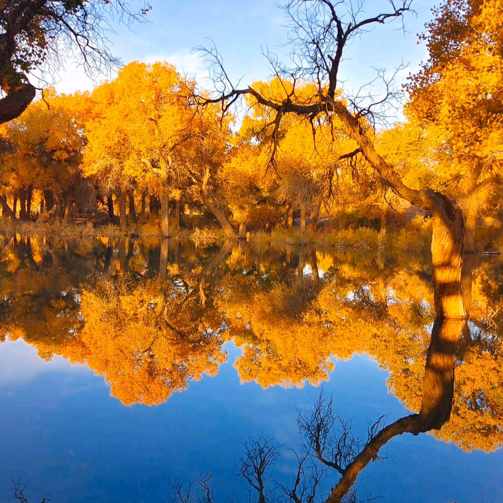 吃  就扎你一下