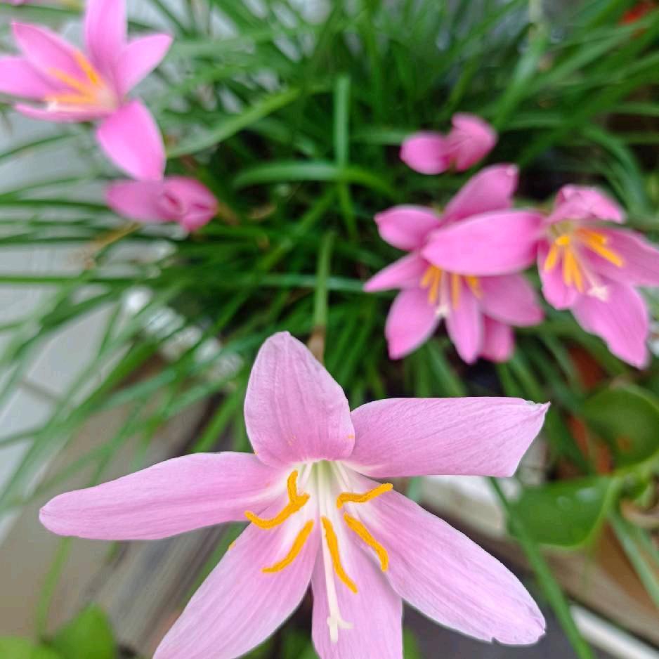 等候