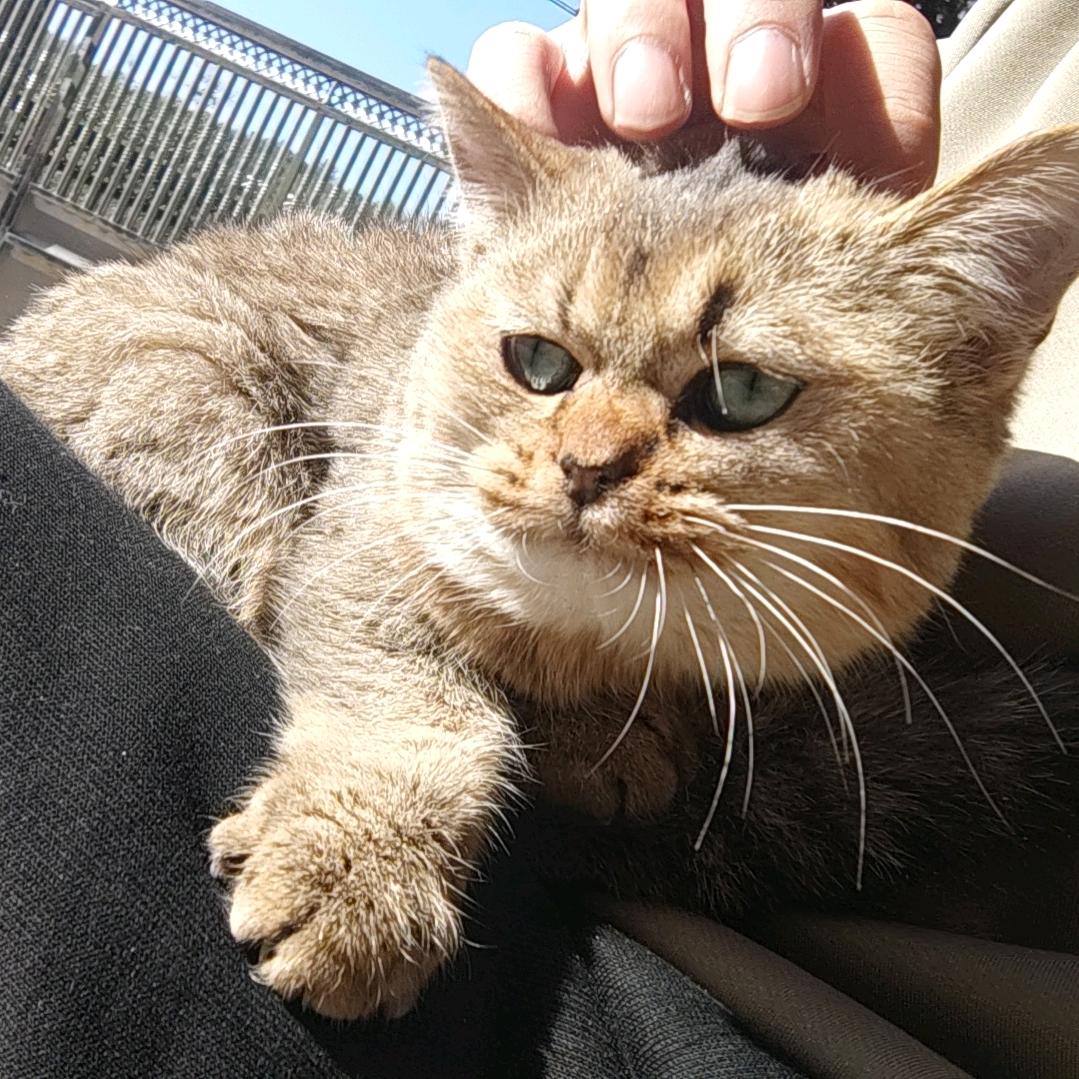 和老婆离婚的那个雨夜发现女友是老婆的小三