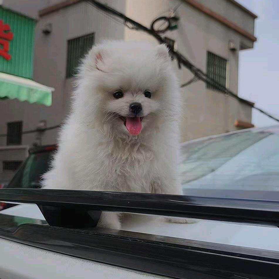 🦋小楠楠😘🎀