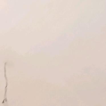 丈母娘