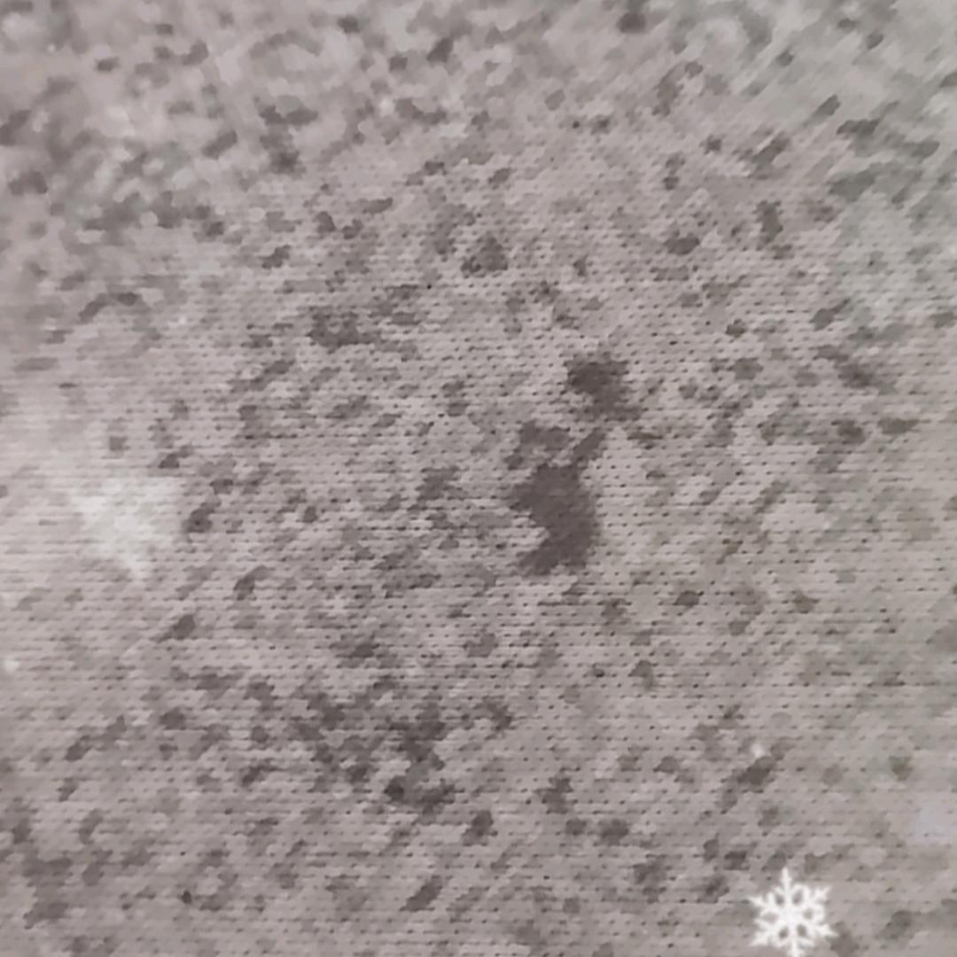 雪儿.