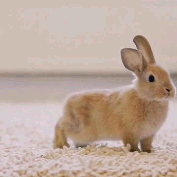 开开心心过一生