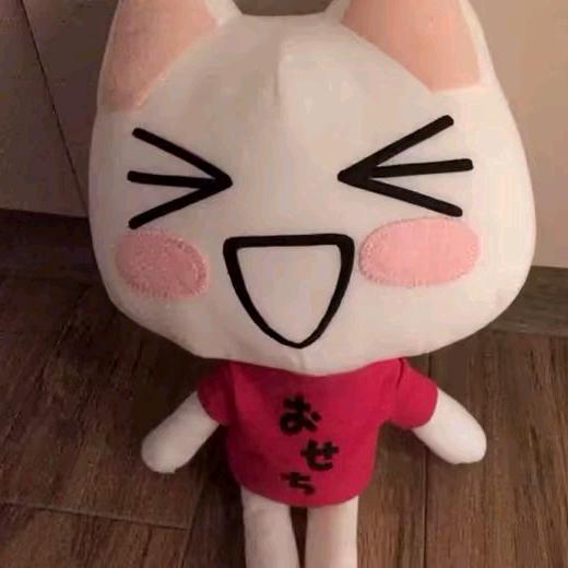 骂我的都是日本人