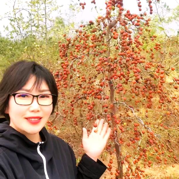 卢氏未来创收农场