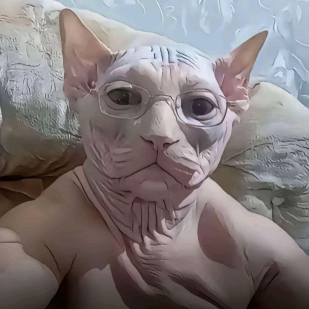 丑猫教教主