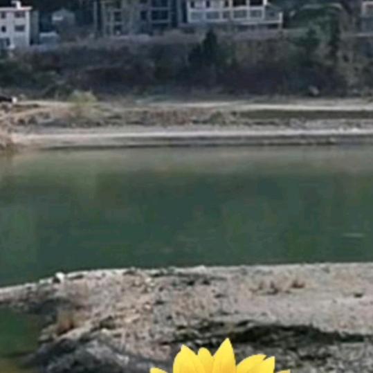 何何姐说美❤️❤️