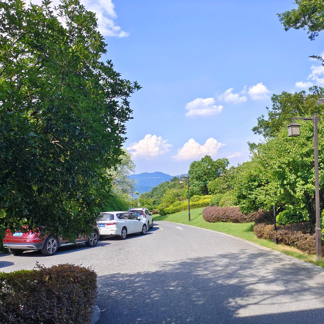 山旺师兄2@传承于洋的广州拟青机械优品店