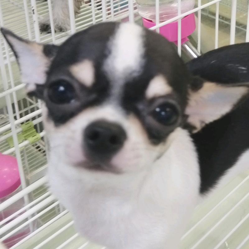 律心