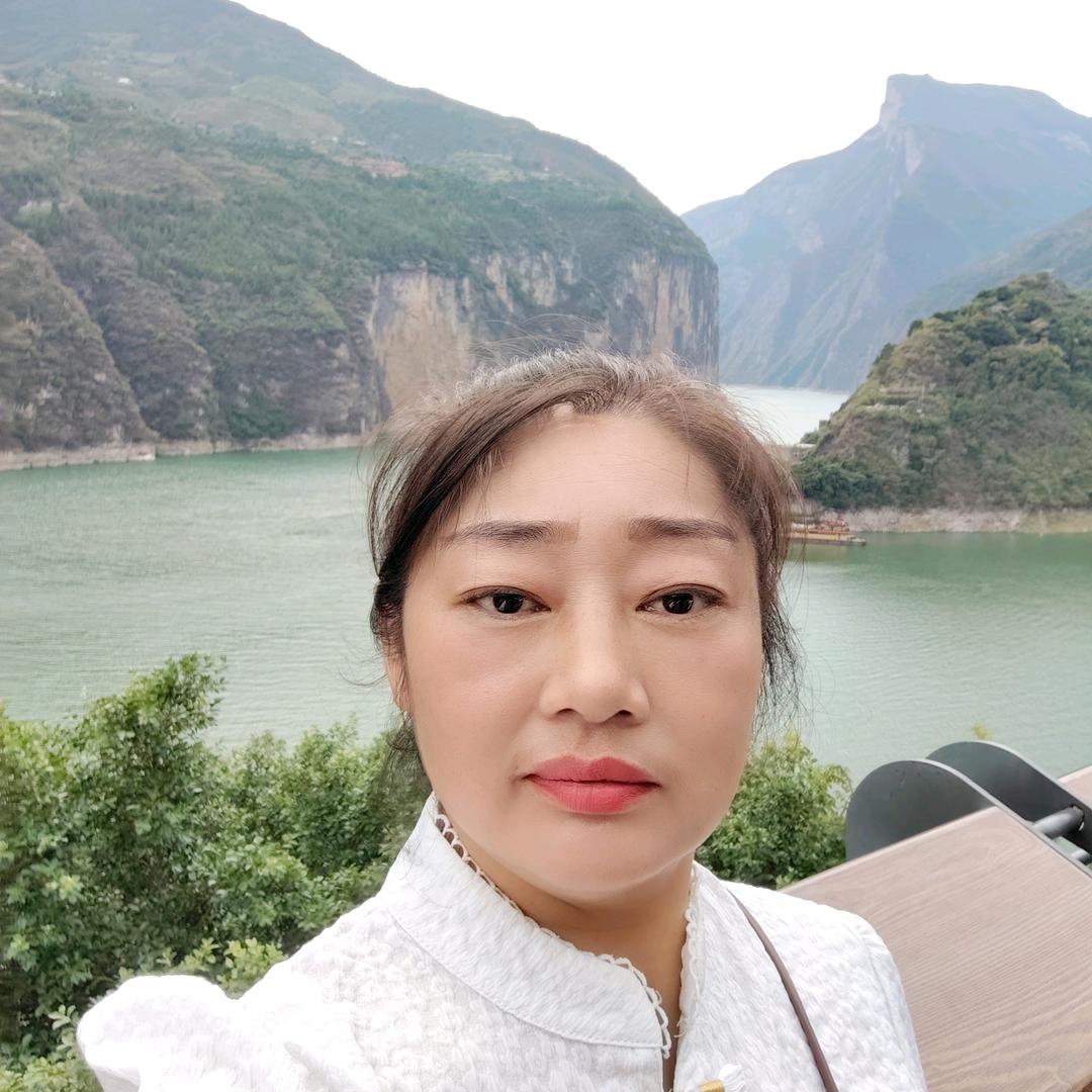 向曰葵（橱窗好物）