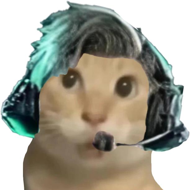 仁怀散修历飞雨