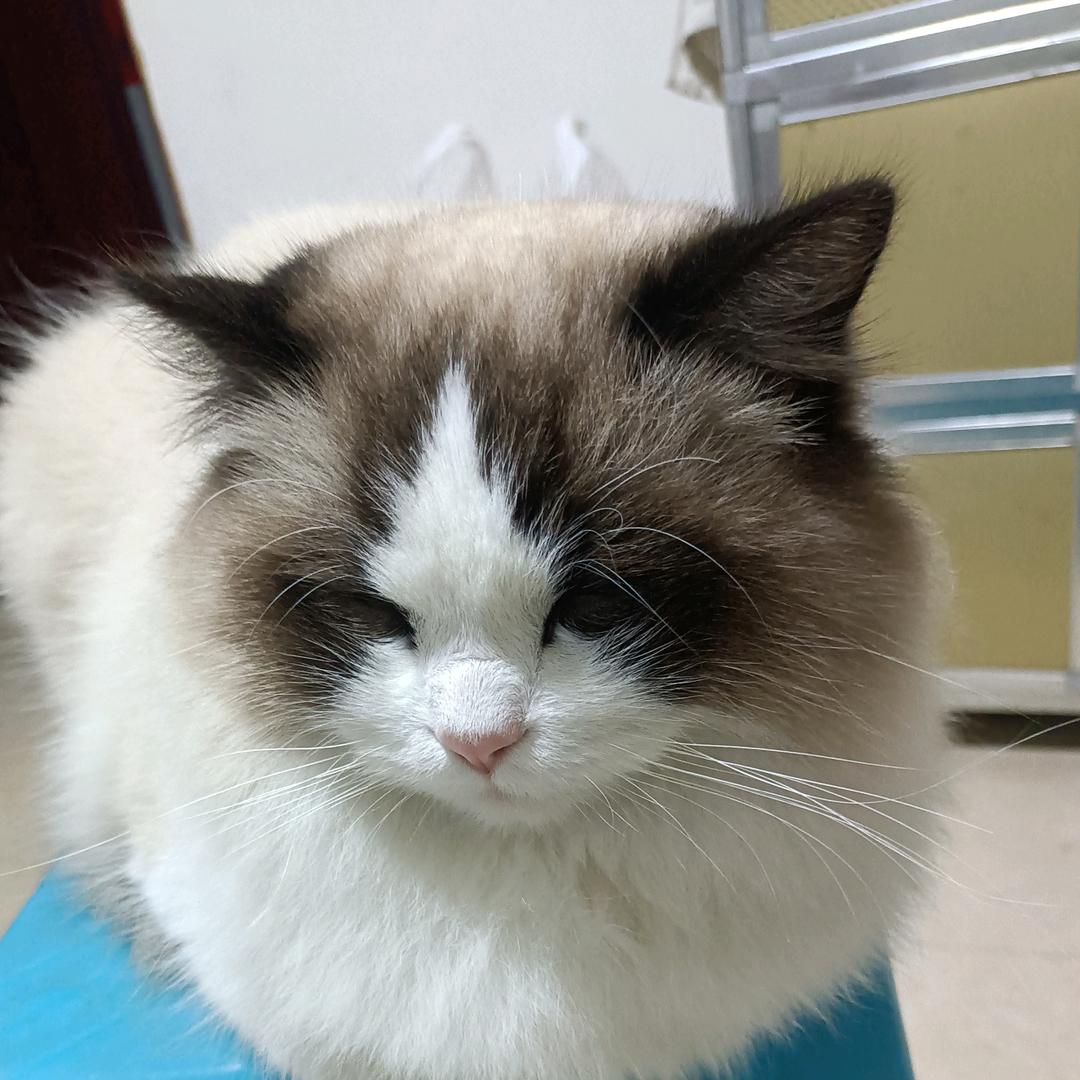 记得我