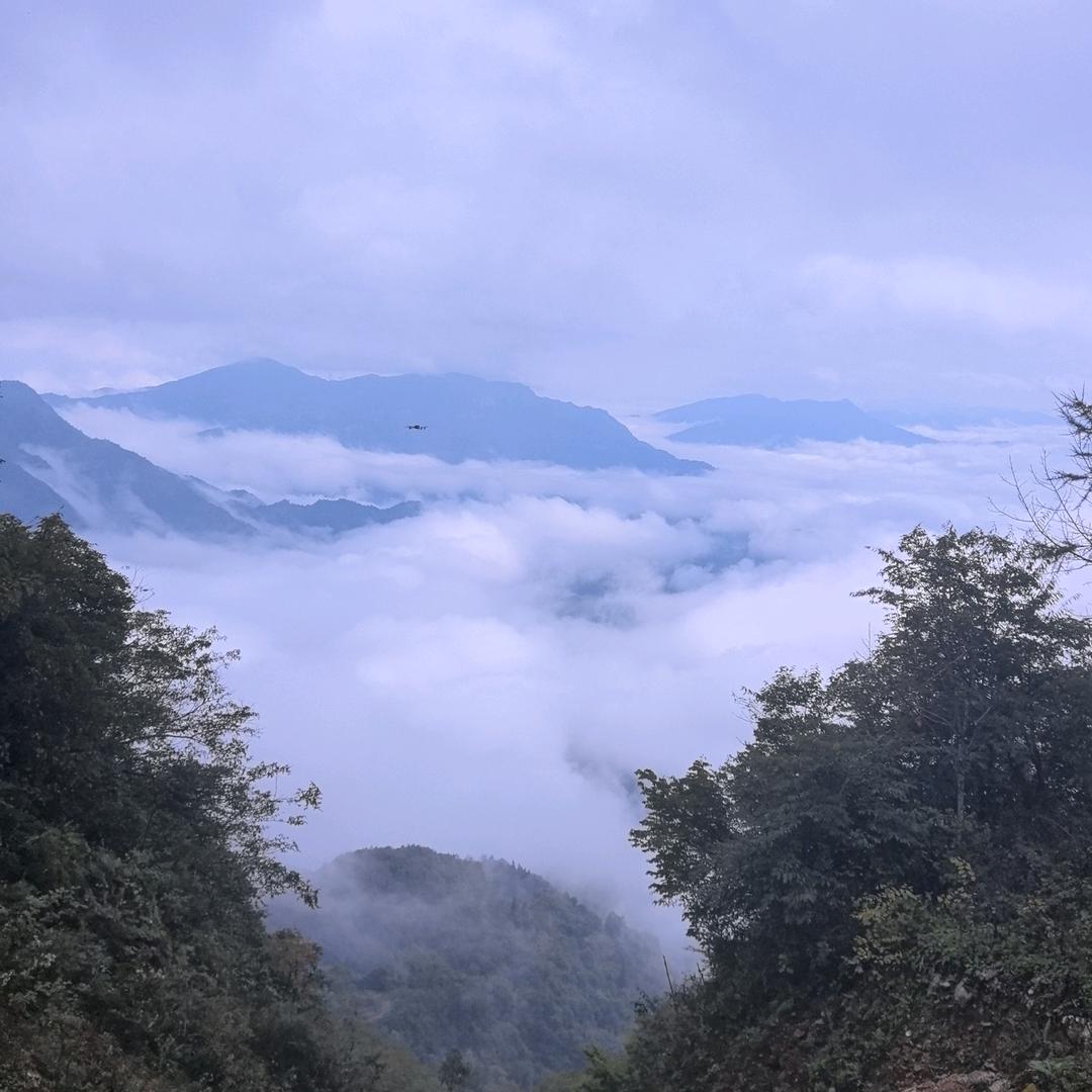 瑞佑农业