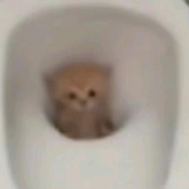 siowbdiwidvdjudhr