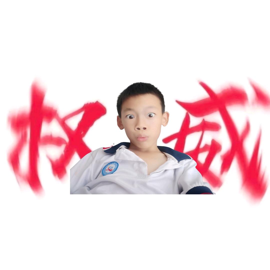 CS电竞互副董客服（将打手）
