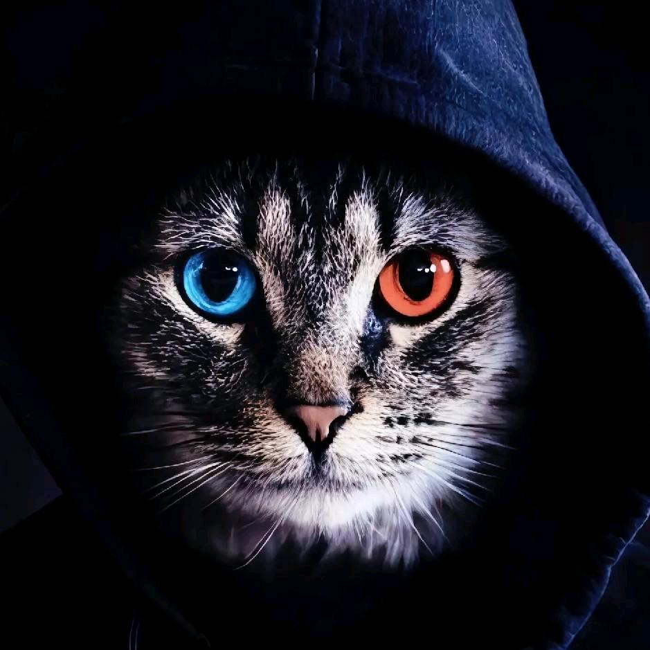 𝒞𝒽ℯ𝓃晓光