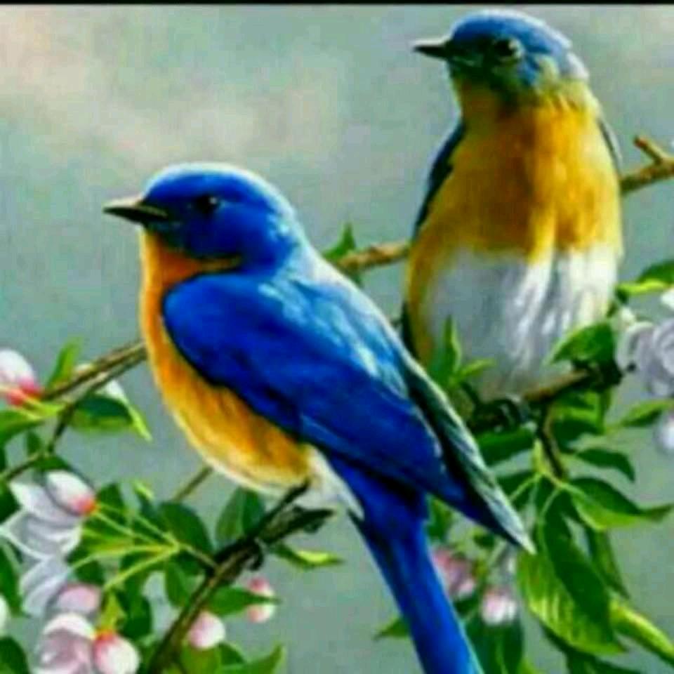 一生快乐🌻🌻🐿️🐿️