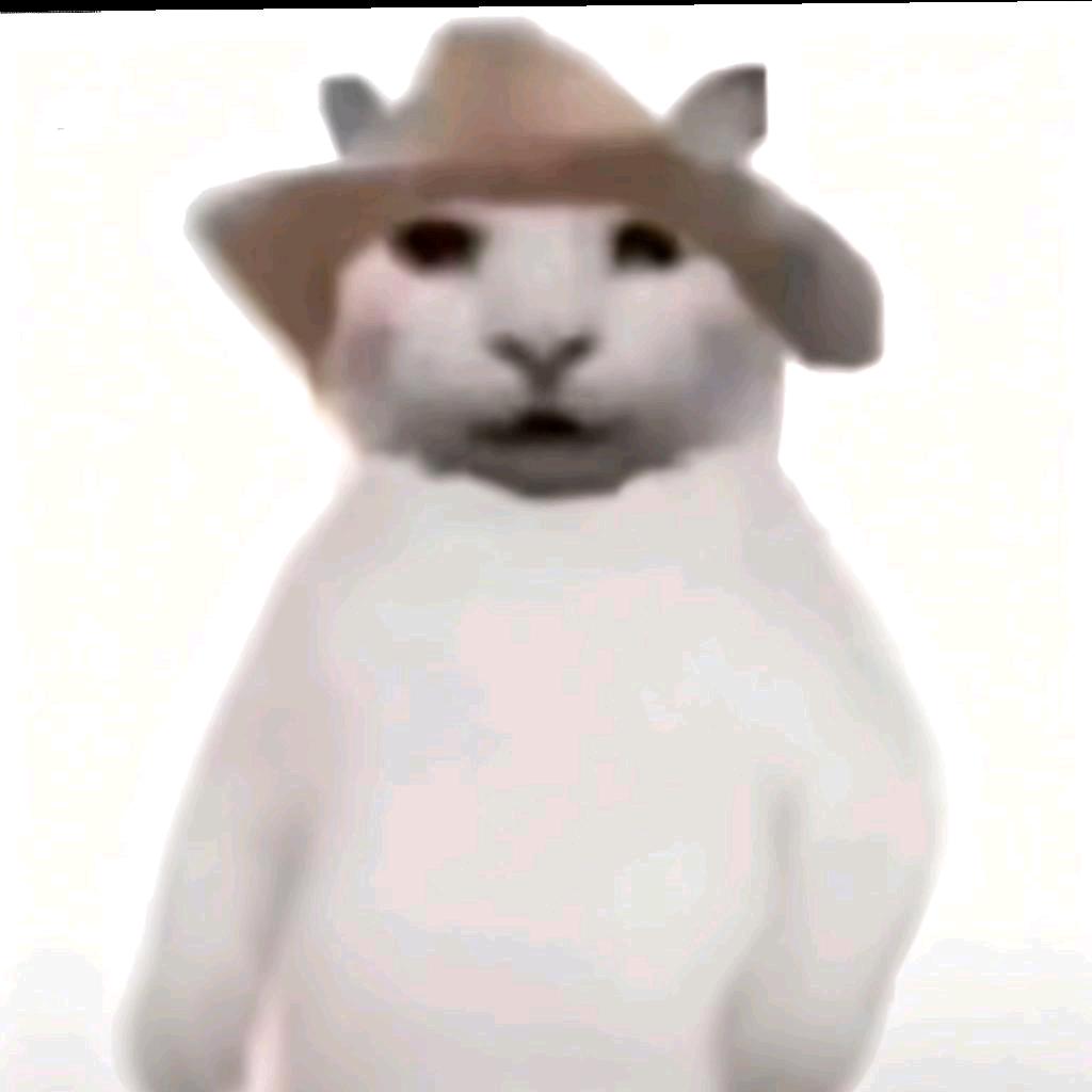 没人能懂鸡的美丽