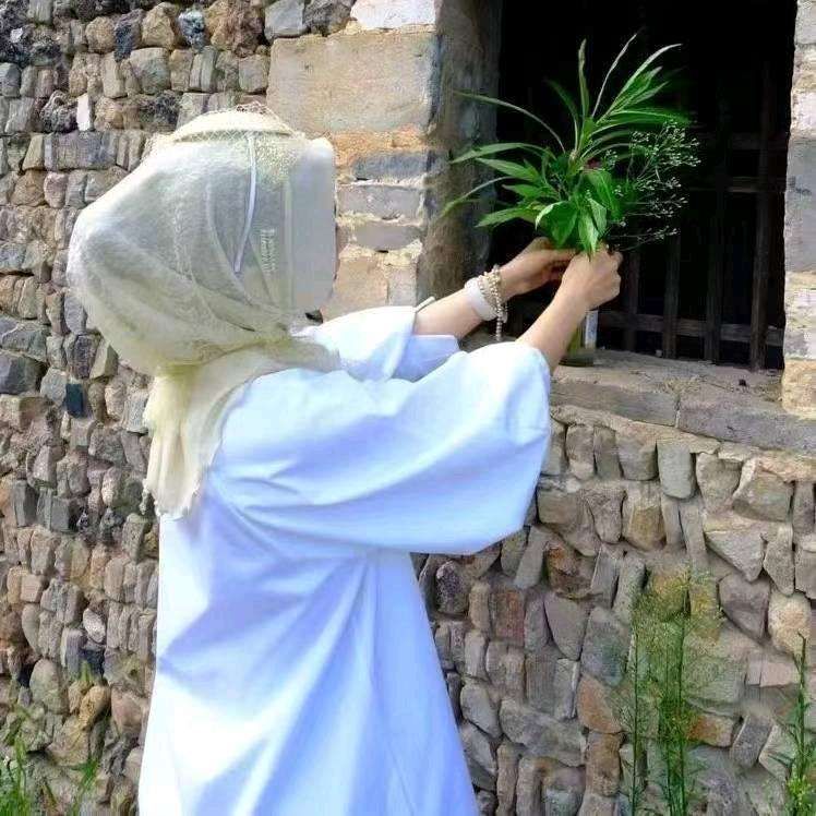 傲雪寒梅