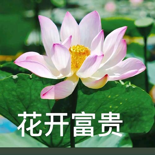 安溪县城厢镇李伟福服装经营部（个体工商户）