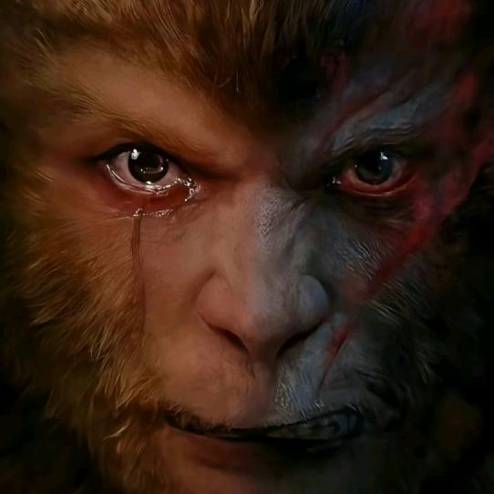 ༆㜂࿐孞あ《逆风而行》