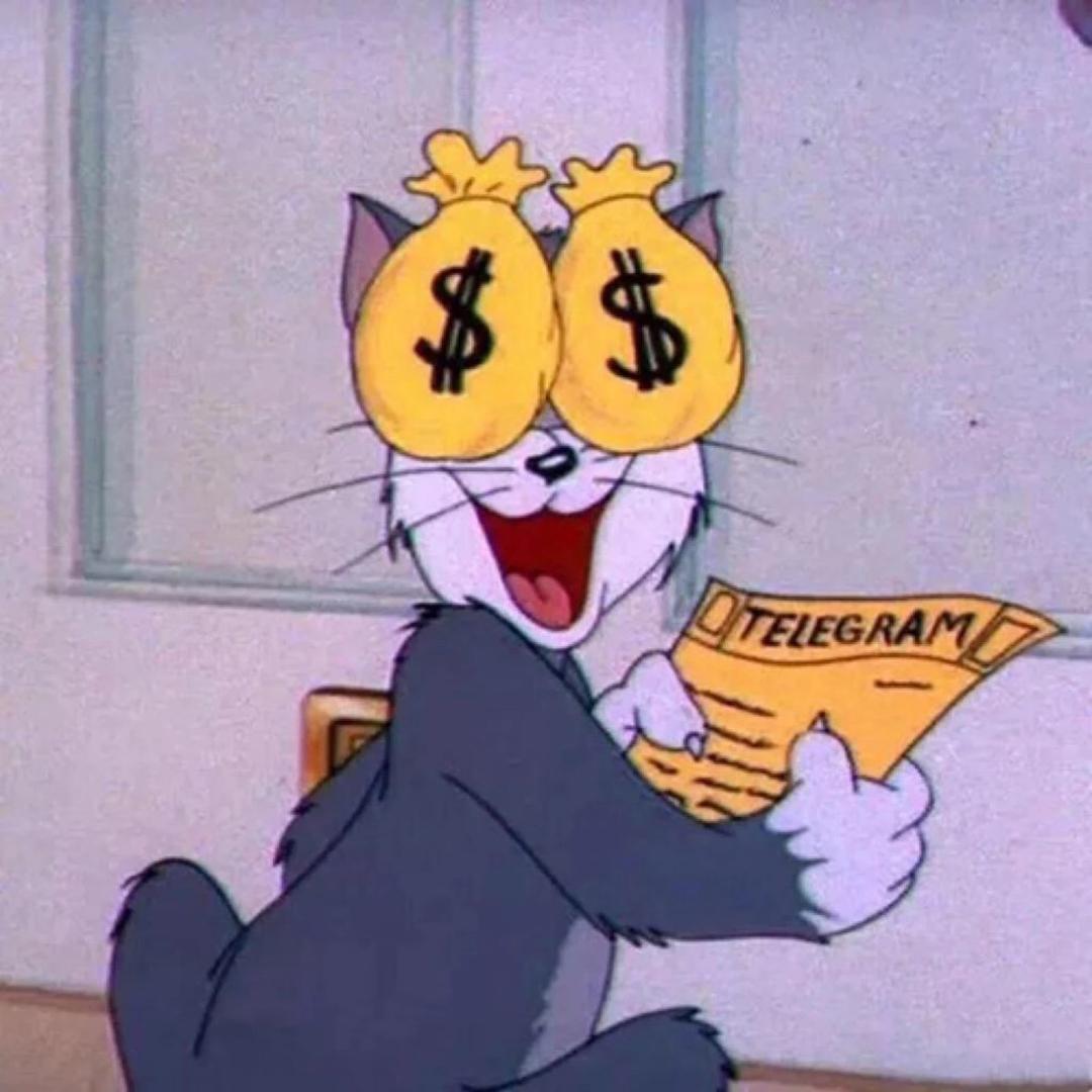 鼠德猫宁