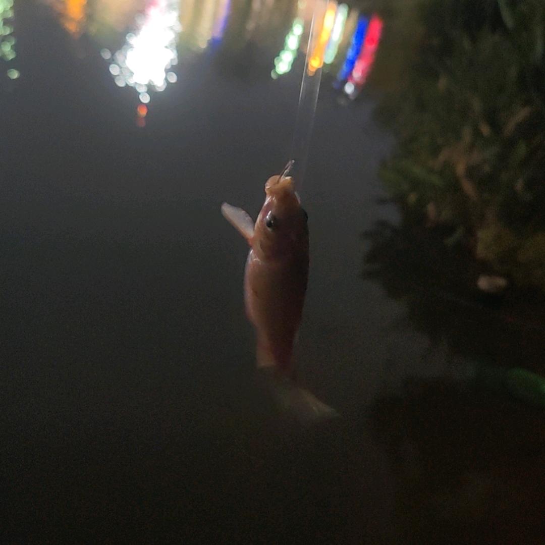 饮尽岁月