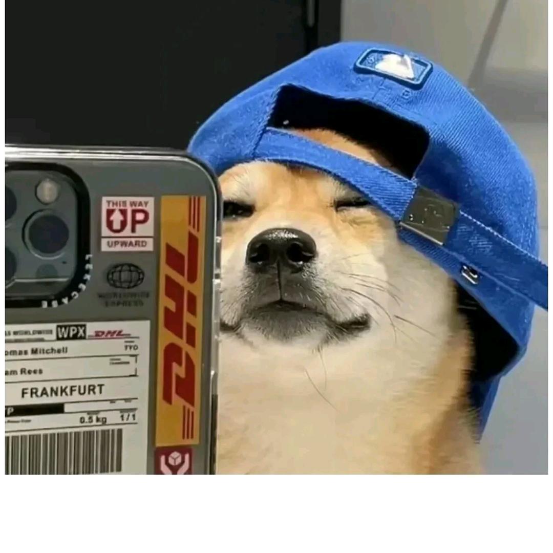 Handsome丶驴~~