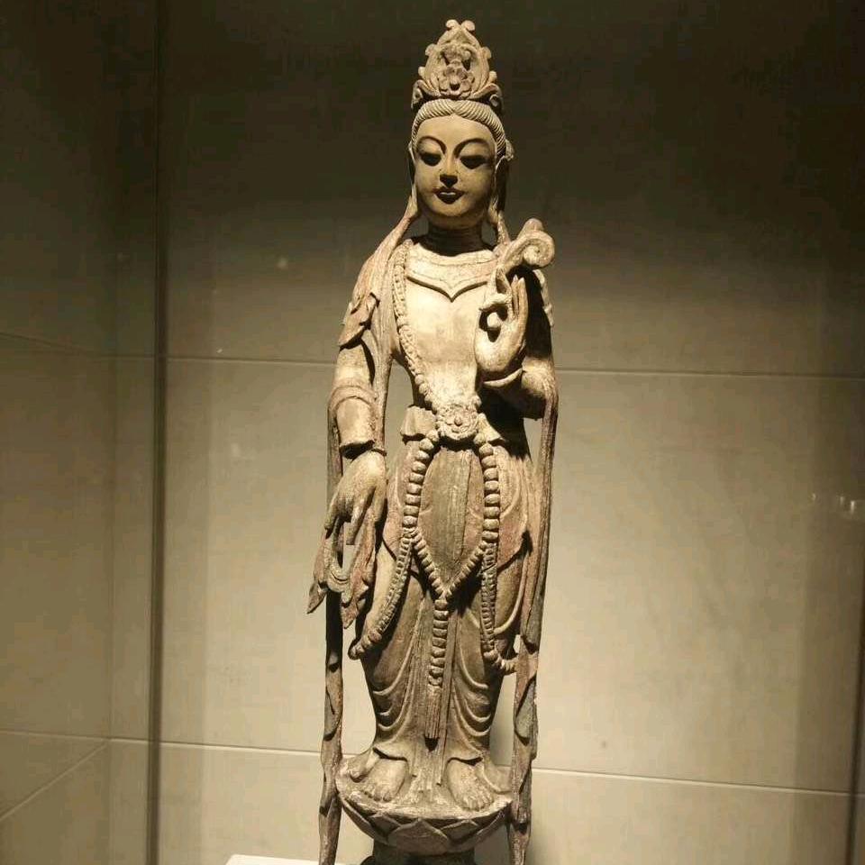 普圆圆圆圆