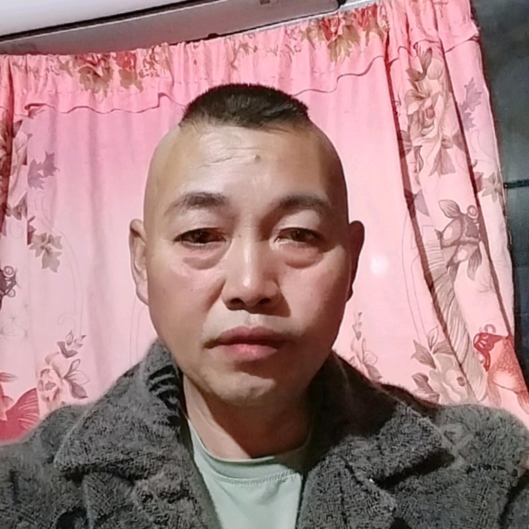 南方狼