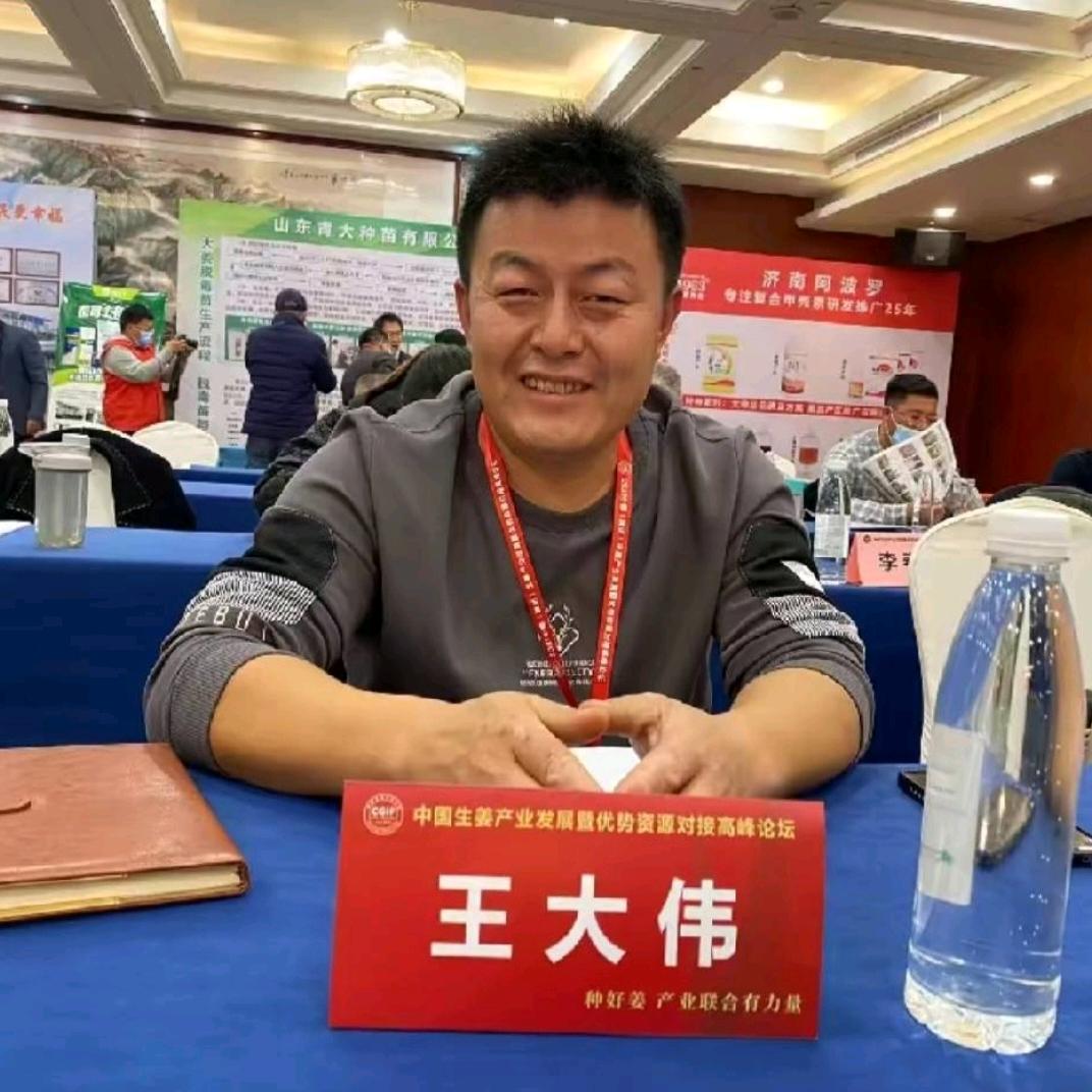 w大伟