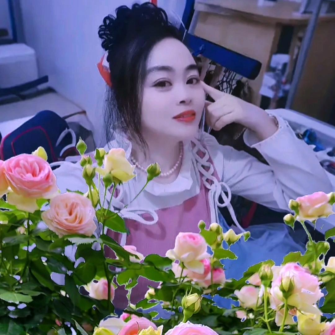 《彭》梦幻之旅