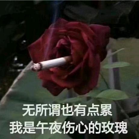 午夜伤心的玫瑰🌹