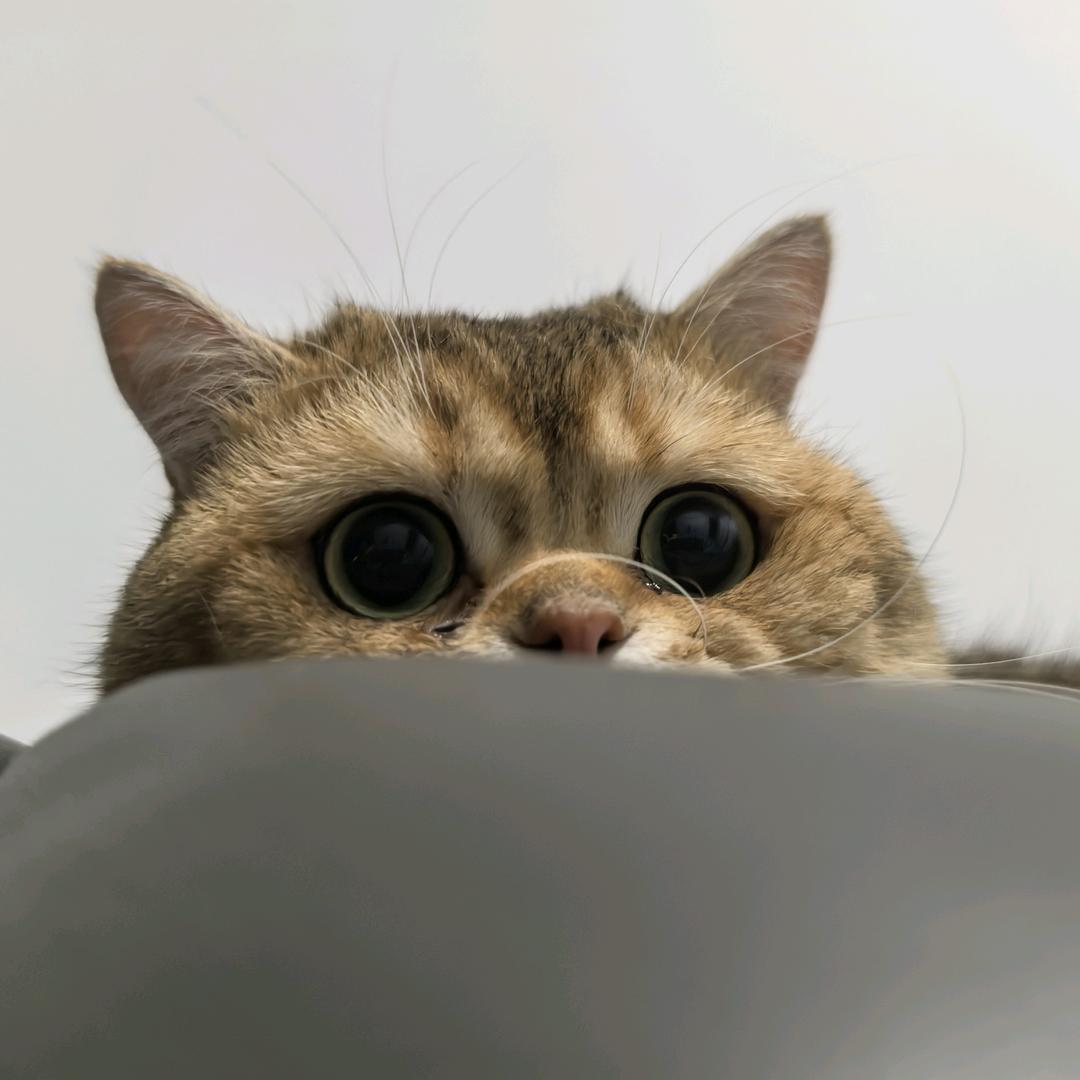 耶耶～