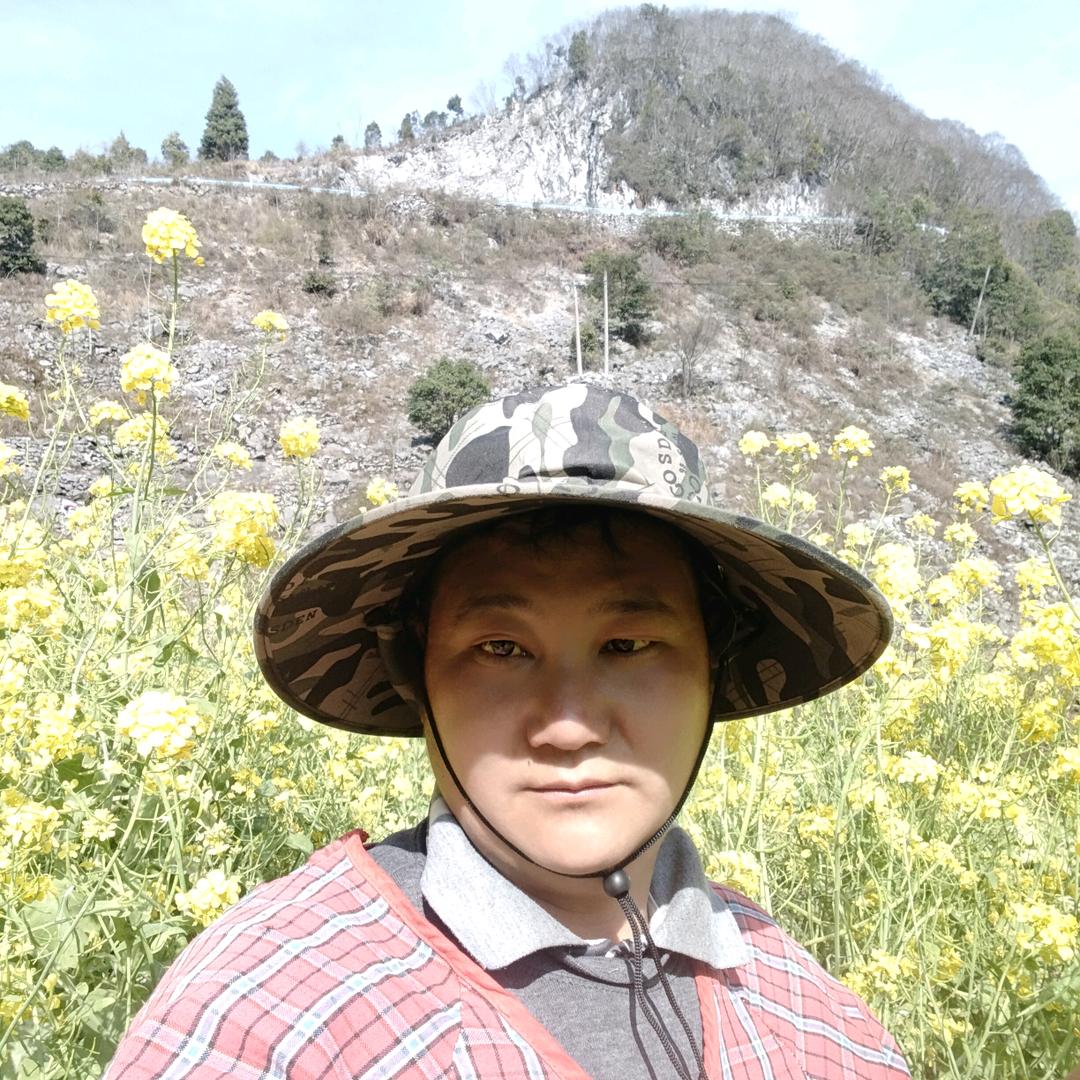苦命情歌