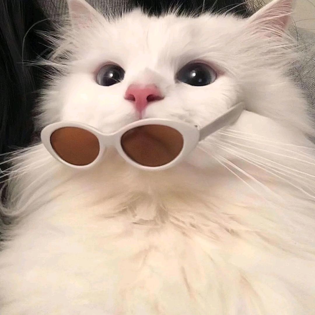 小小年纪