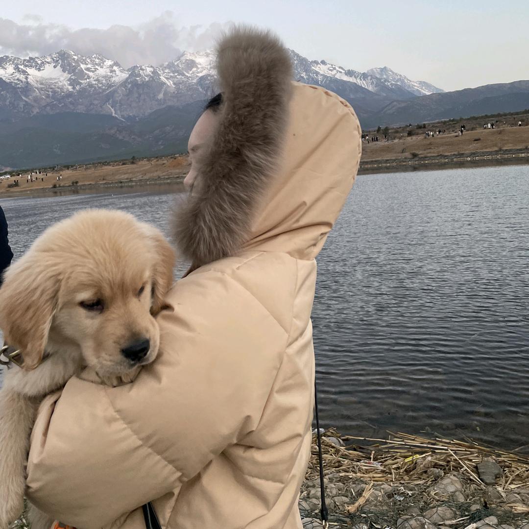 陈财的快乐生活