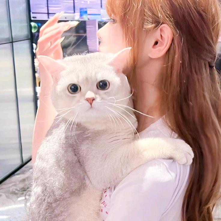 _林