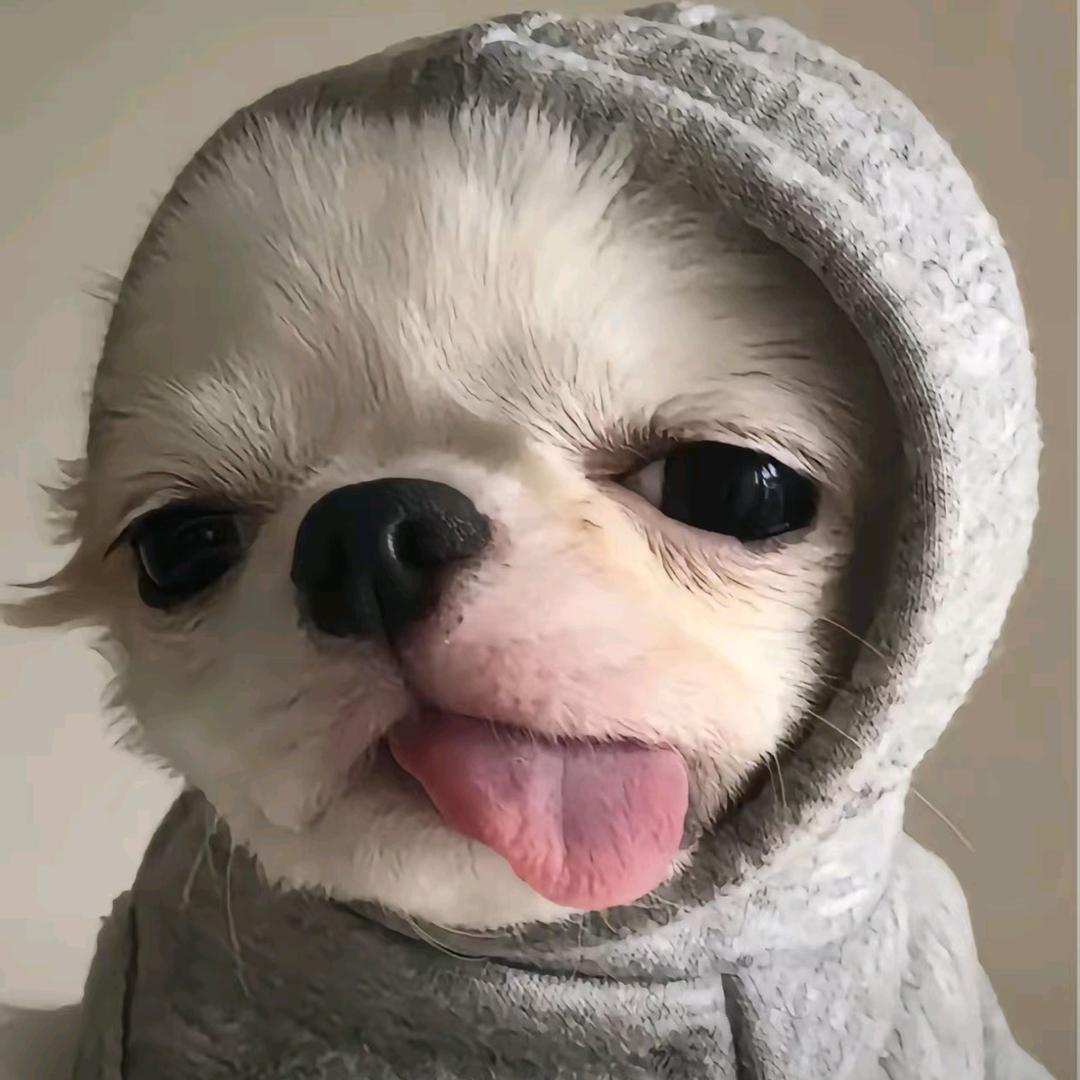 忠