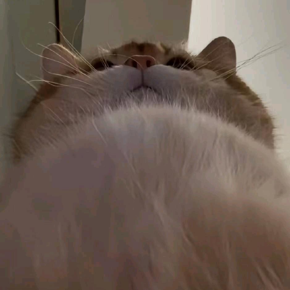 时诗