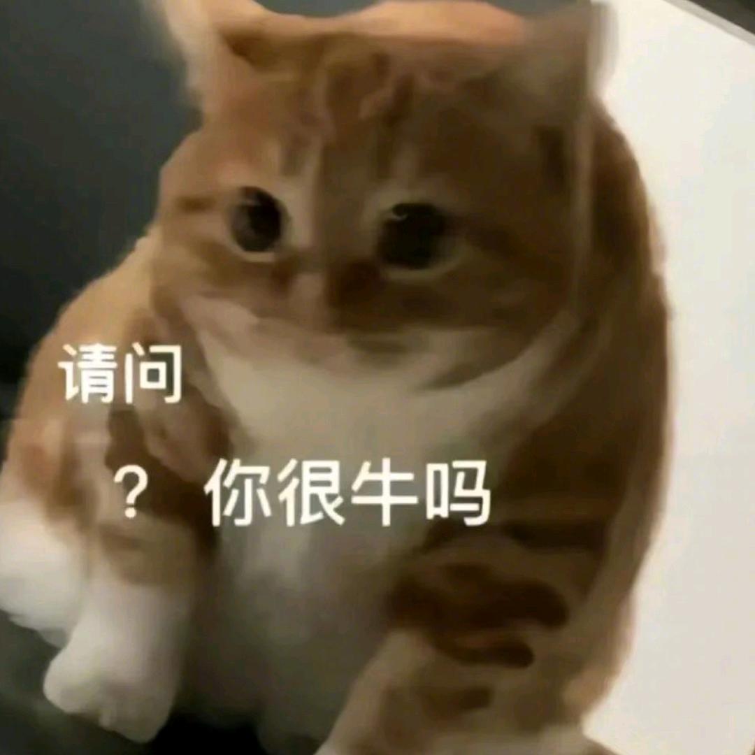 七七