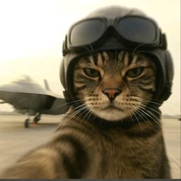 烤鱼（三角洲行动）